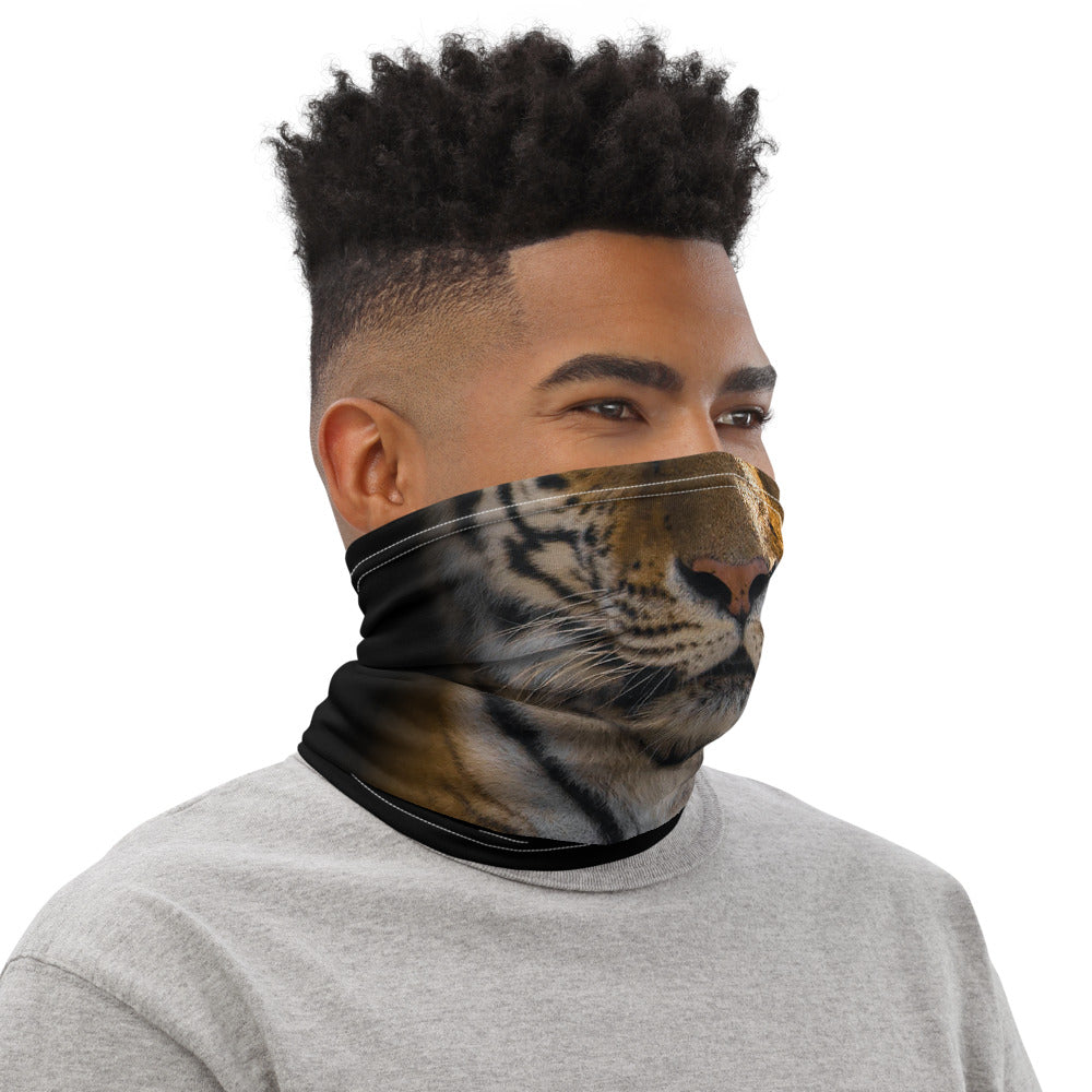 Tiger Mask