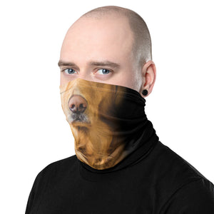 Golden Retriever Mask